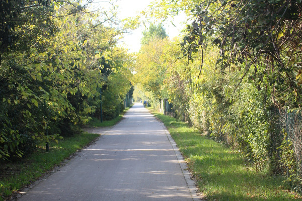 Bicycle Path - B&B Marelaguna Cavallino Treporti VE