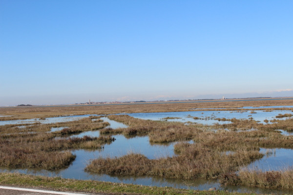 View of the Barene from the Bike Path - B&B Marelaguna Cavallino Treporti VE
