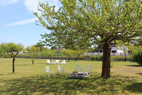 Tree in the Garden - B&B Marelaguna Cavallino Treporti VE