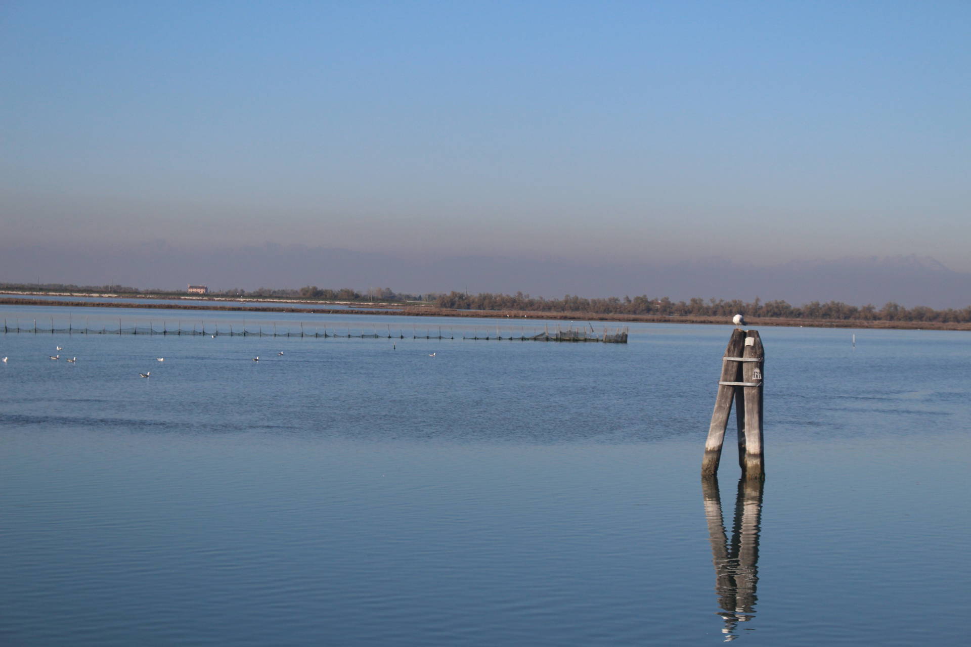 Lagune und Fischernetze - B&B Marelaguna Cavallino Treporti VE