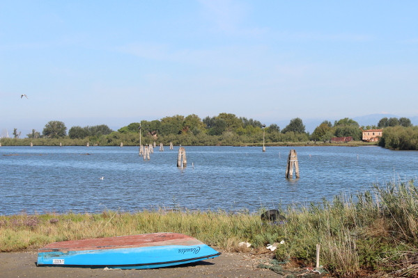 View of the Venetian Lagoon in Cavallino Treporti - B&B Marelaguna Cavallino Treporti VE