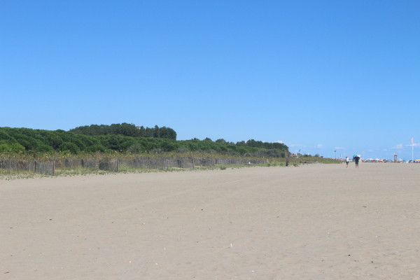 Kiefernwald am Strand - B&B Marelaguna Cavallino Treporti VE