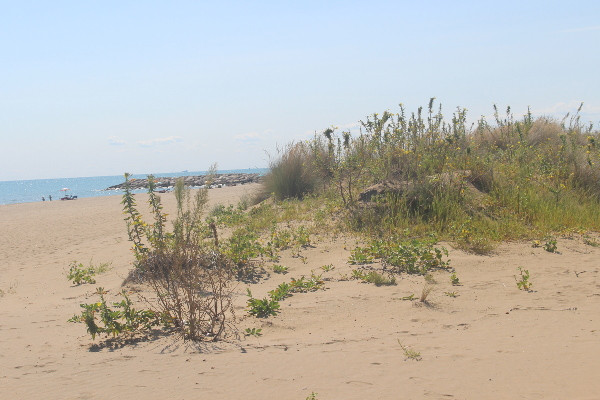 Sanddünen - B&B Marelaguna Cavallino Treporti VE